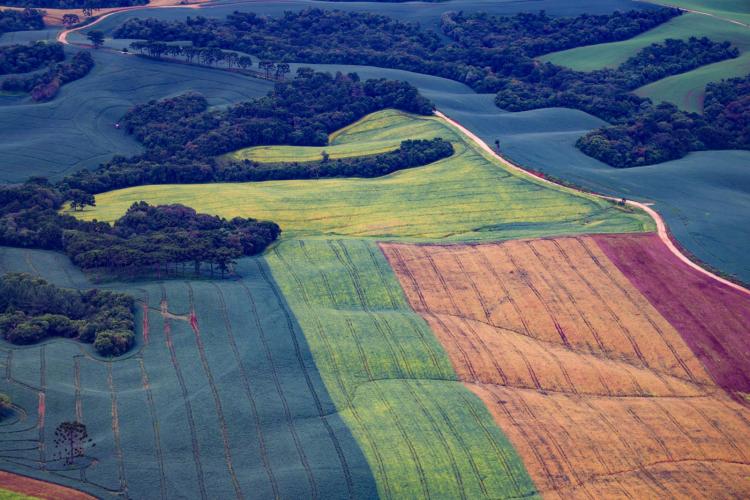 TRF4 suspende decisão que limitava regularização ambiental na Mata Atlântica no Paraná