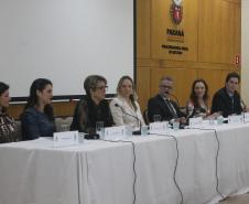 Posse corregedoras