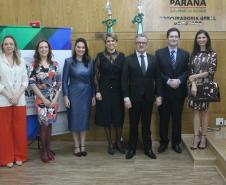 Posse corregedoras