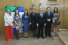 Posse corregedoras